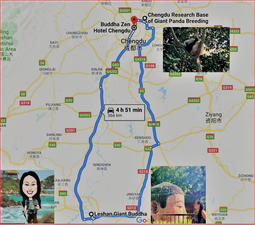 China Day 7 - Giant Panda Research Centre Chengdu & Leshan Giant Budda