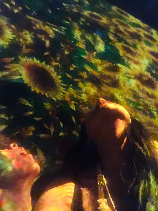 Tokyo Wonders: Megaweb Toyota City Showcase & TeamLab Borderless Museum&nbsp;Exploration