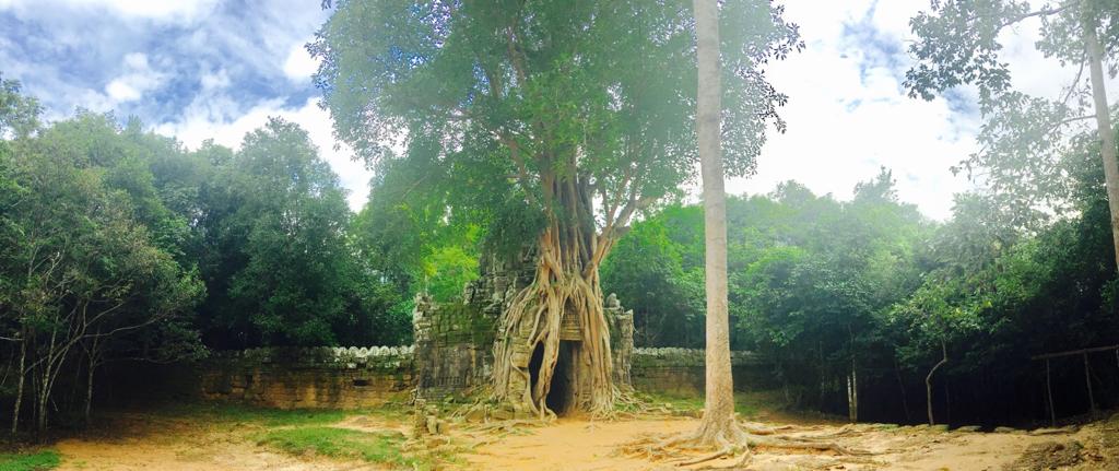 7- Angkor Complex - Eastern gopura with strangler fig at Ta Som Temple - by Jenny Rojas (1)