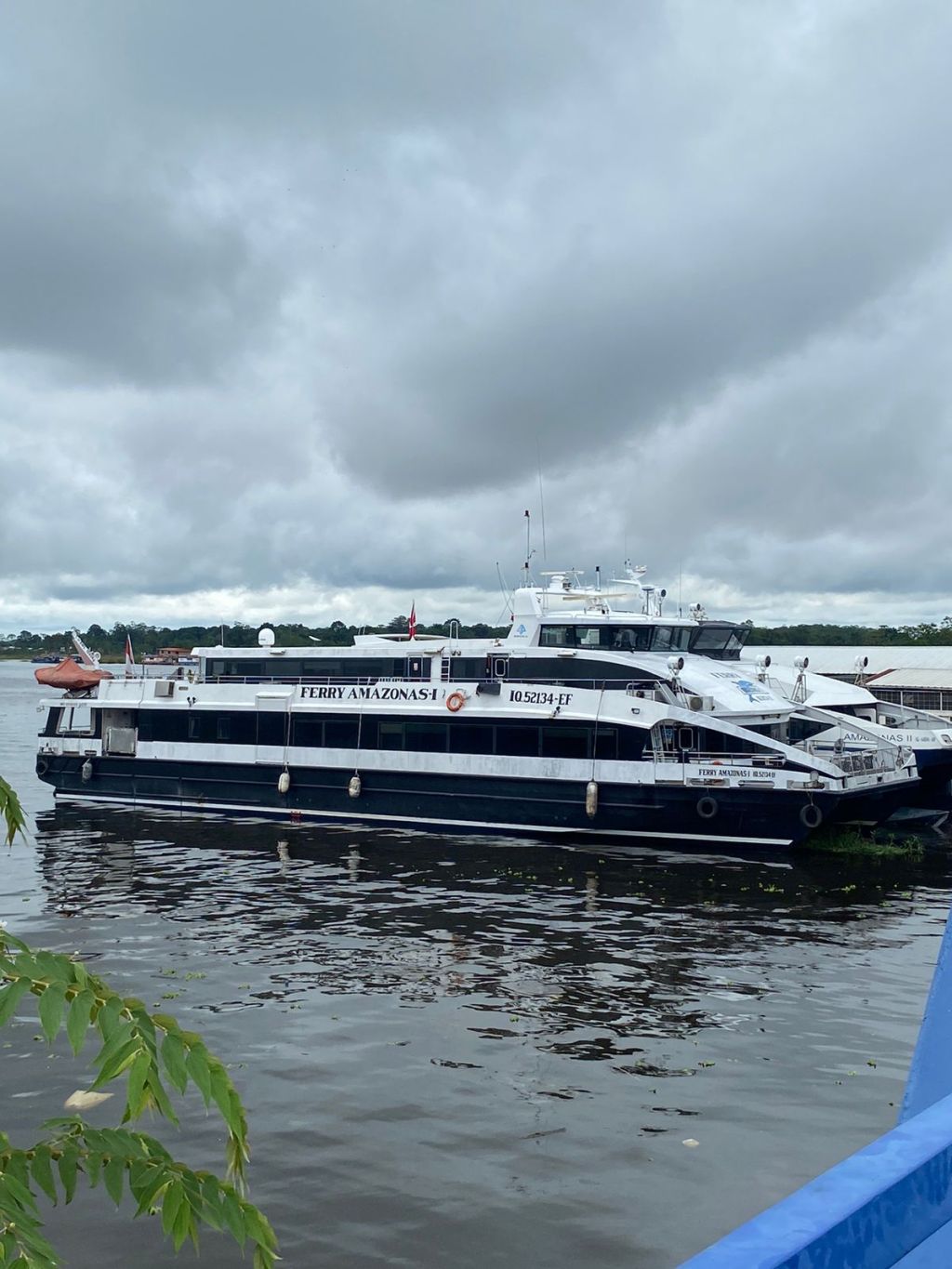 From Aqua Bliss to Zoe’s Wild Ride! My Journey Through the Amazon&nbsp;River